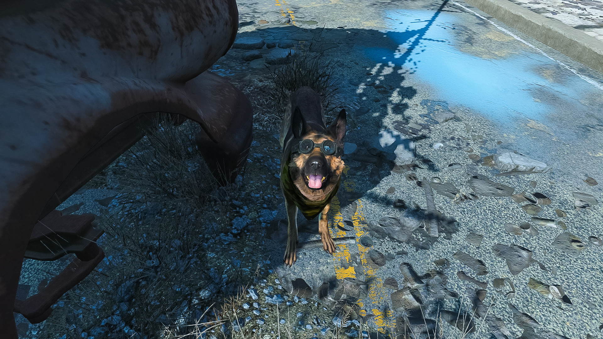 This guy looks cute, but I'm glad he's on my side.